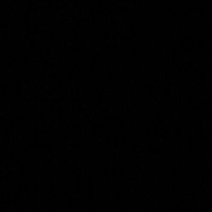 Meet your Posher, Jenni